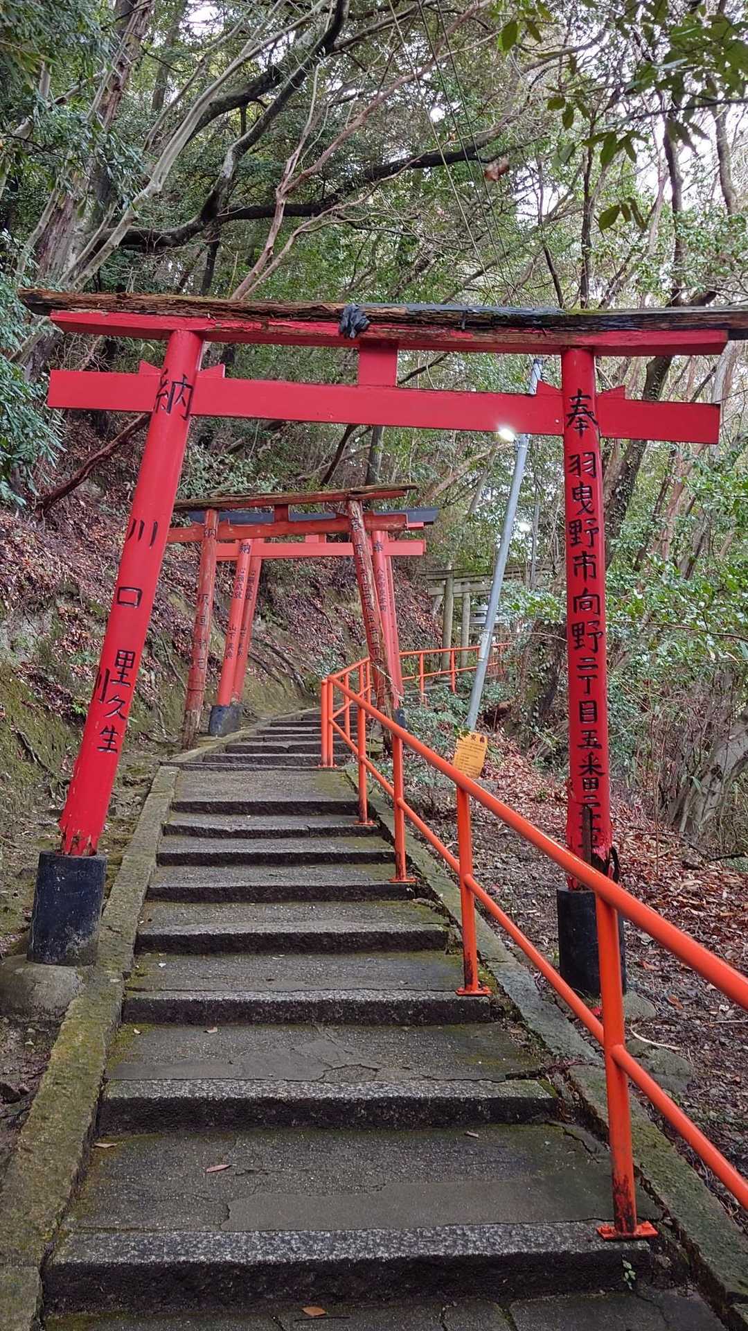 信貴山 往復コースの写真