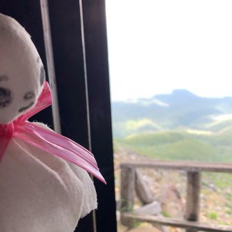 しおり