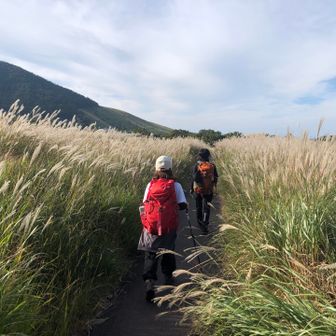 戻ってきました