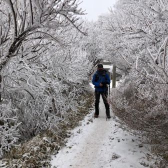 くじゅう大好きさん