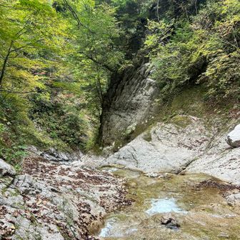 川も渡るし、壁も這う