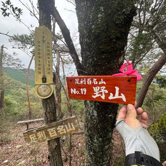 野山に到着…気温はやはり25°Cでしたが暑い💦