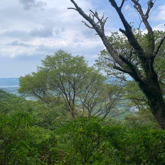 崎門ノ峰からの眺望。
昔はよく見えたんでしょうね。