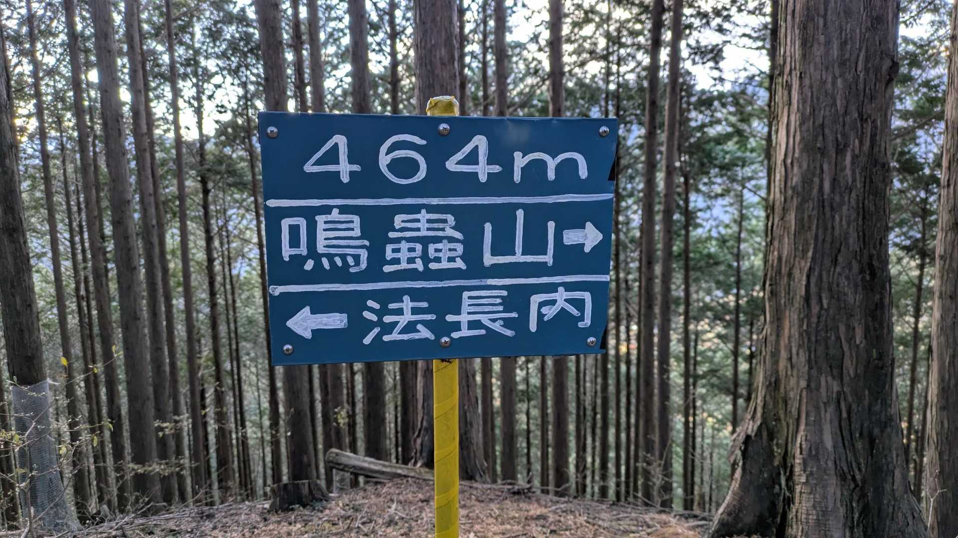 色違いのポイント標識
字体が同じです
ノーサインですが

NWさん作だと思われます
