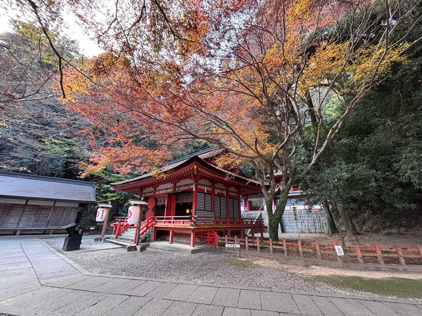 白峰神社。紅葉がきれいです。