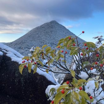 年末年始っぽい