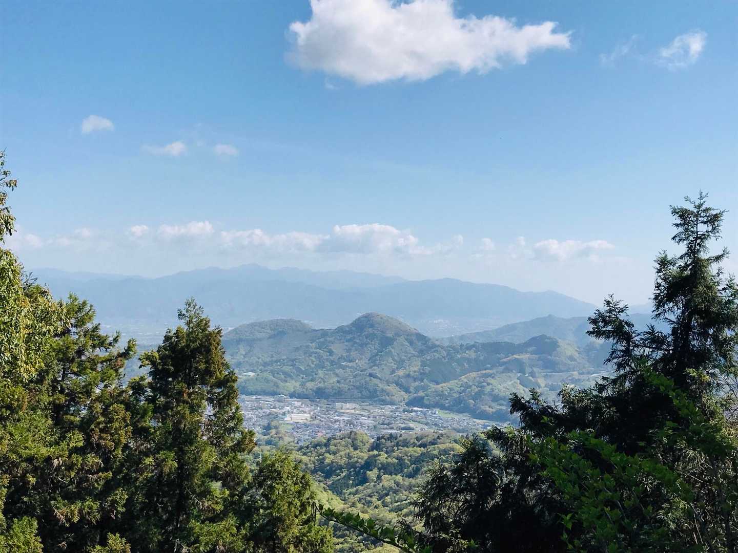 障子山登山口-障子山登山口-障子山-障子山登山口-鵜崎バス 周回コースの写真