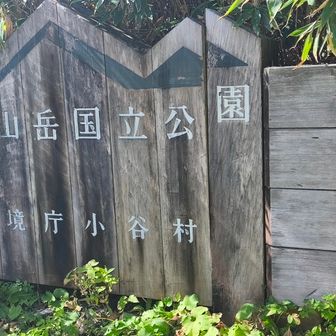 環境庁