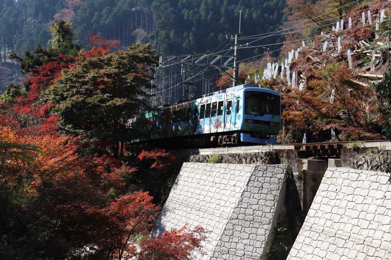 戸寺バス停-江文峠-山門駅-夜泣峠-向山-ポイント 縦走コースの写真