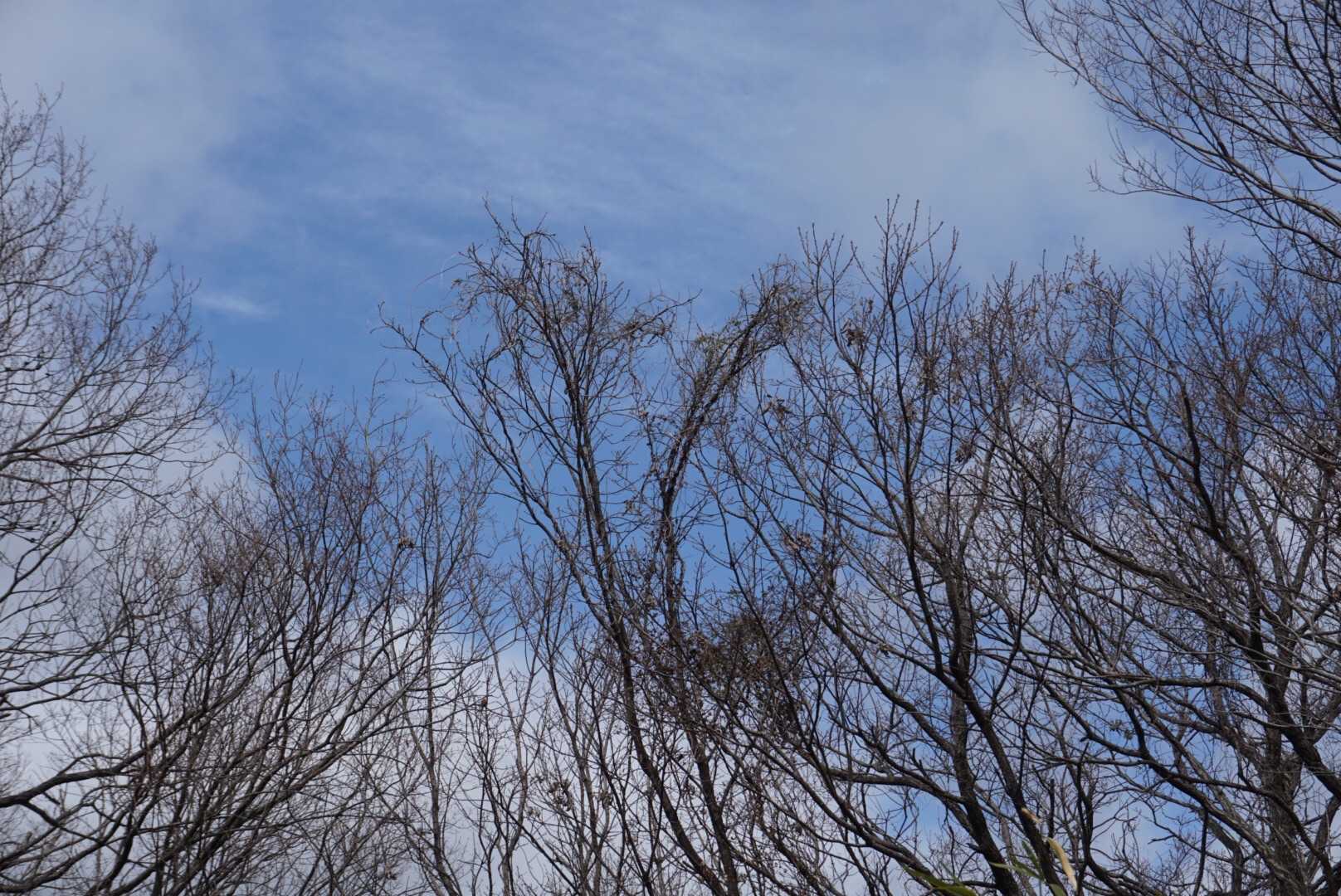 時々見せる青空。