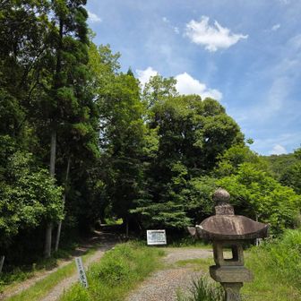 尾張戸神社参道入口⛩️
ここに出てきました😄