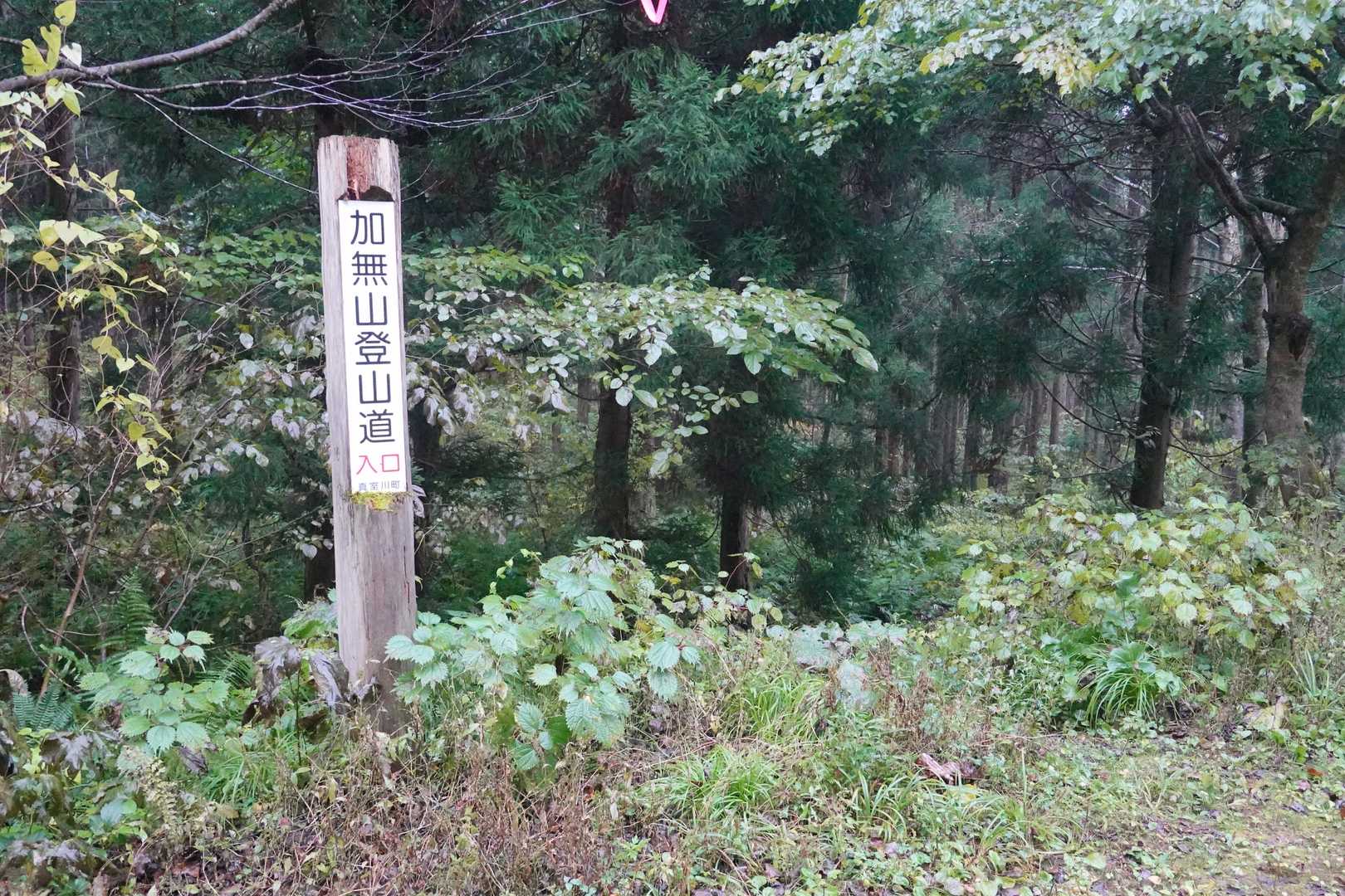 加無山登山口-男加無山 往復コースの写真