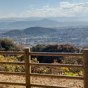 目の前の木々が伐採されて眺めがよくなった山頂からは戸島山や飯田山が見える