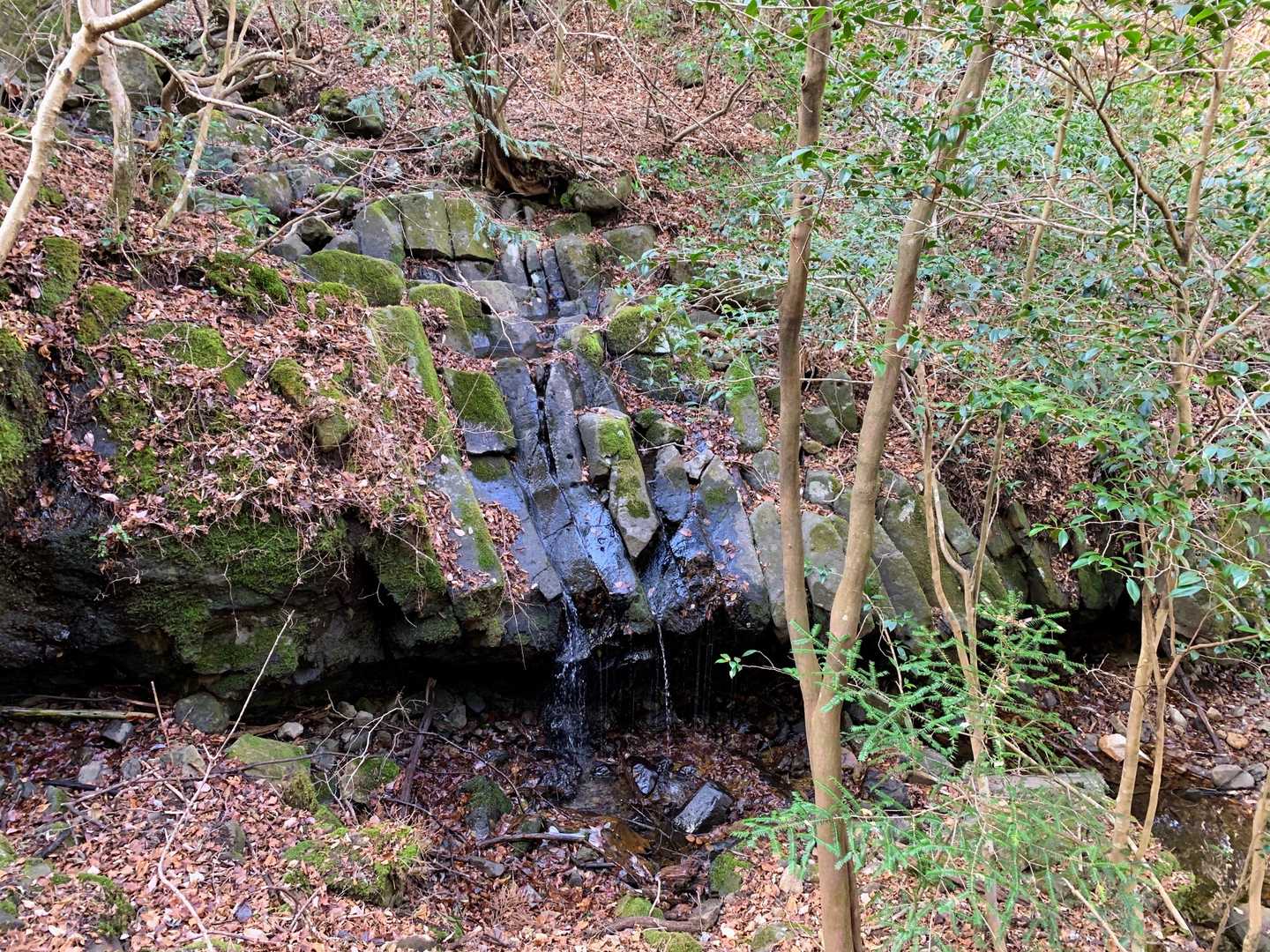 四辻峠-雨乞岳-烏帽子岳-鎧ヶ岳-日平山 周回コースの写真