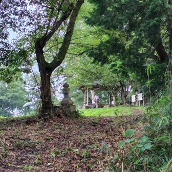 またどこかでお会いできたらいいですね、と話し下山しました。