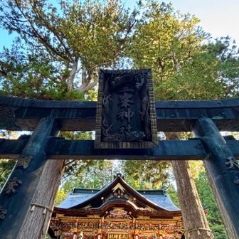 ⛩️🙏  本殿が 輝いています✨