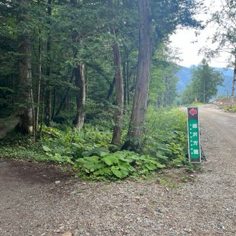 再び昔の道に入ります。