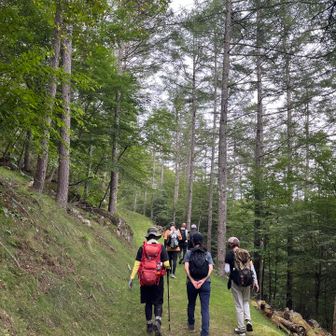 最後は気持ちの良い道で