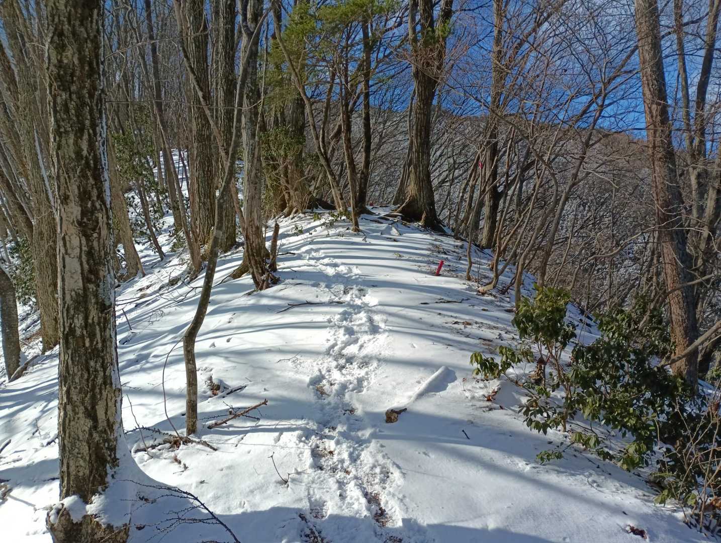 ダマしトラバースでコースアウトしたので復帰