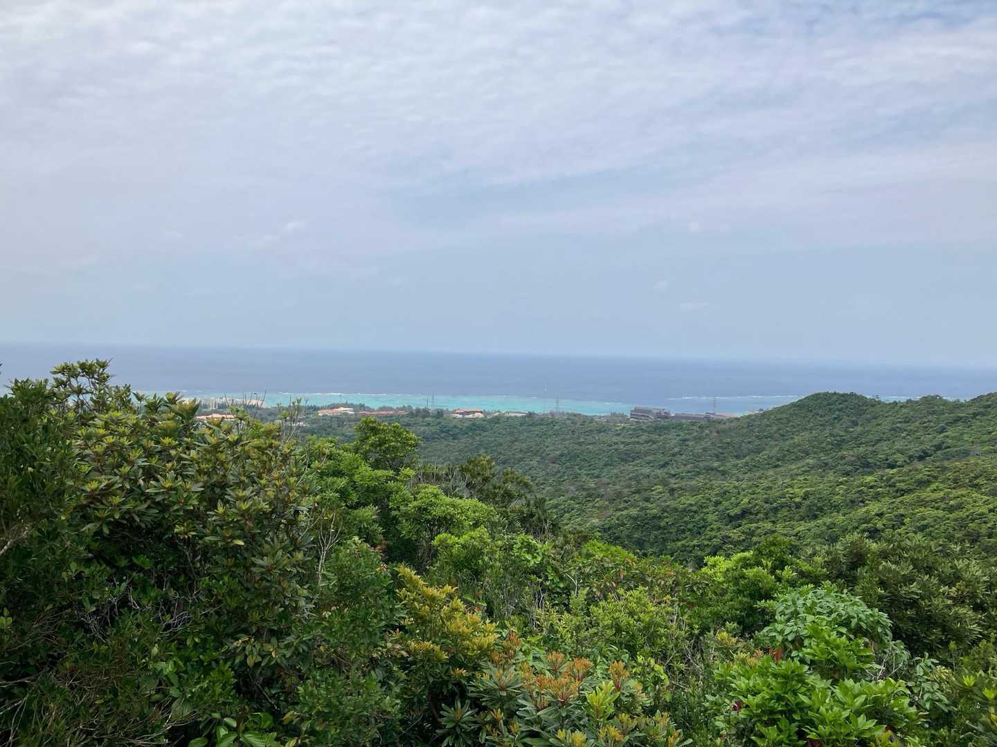 石川岳 往復コースの写真