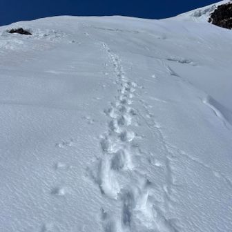 コレが西黒尾根かー！👍