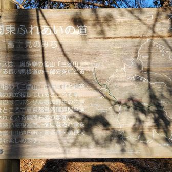 浅間峠にあった「関東ふれあいの道・富士見のみち」の説明看板
「冬になると尾根道から富士山、丹沢、奥多摩、奥秩父の山々の姿が楽しめます。」と書いてあります。
ここから標高差400m位を一気に下ります。