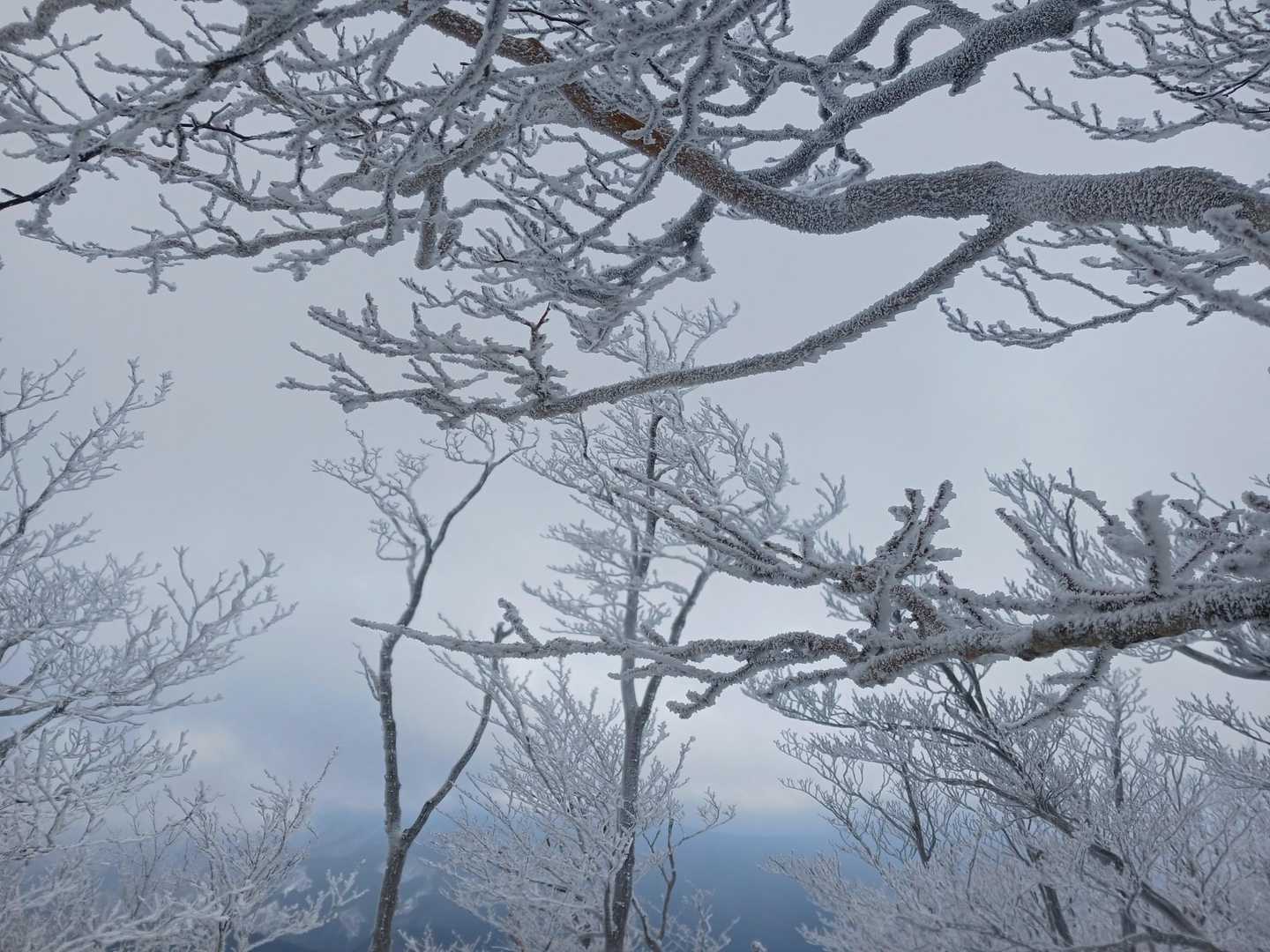 高見峠-高見山 周回コースの写真