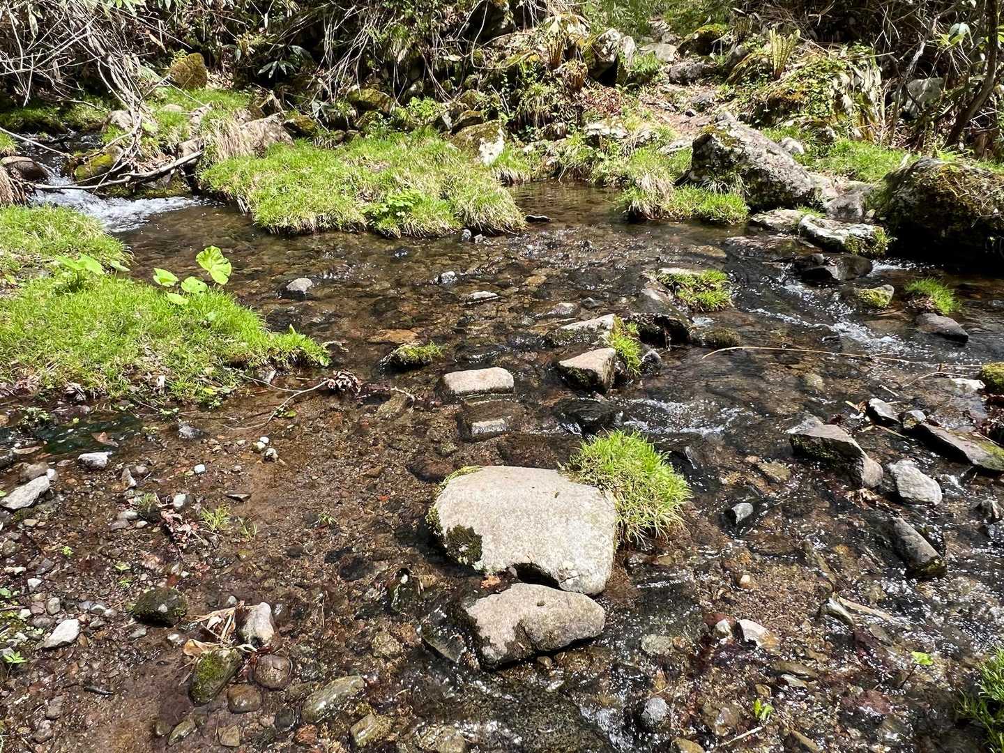 渡渉🚶‍♂️‍➡️清涼感が気持ちいい^ ^。