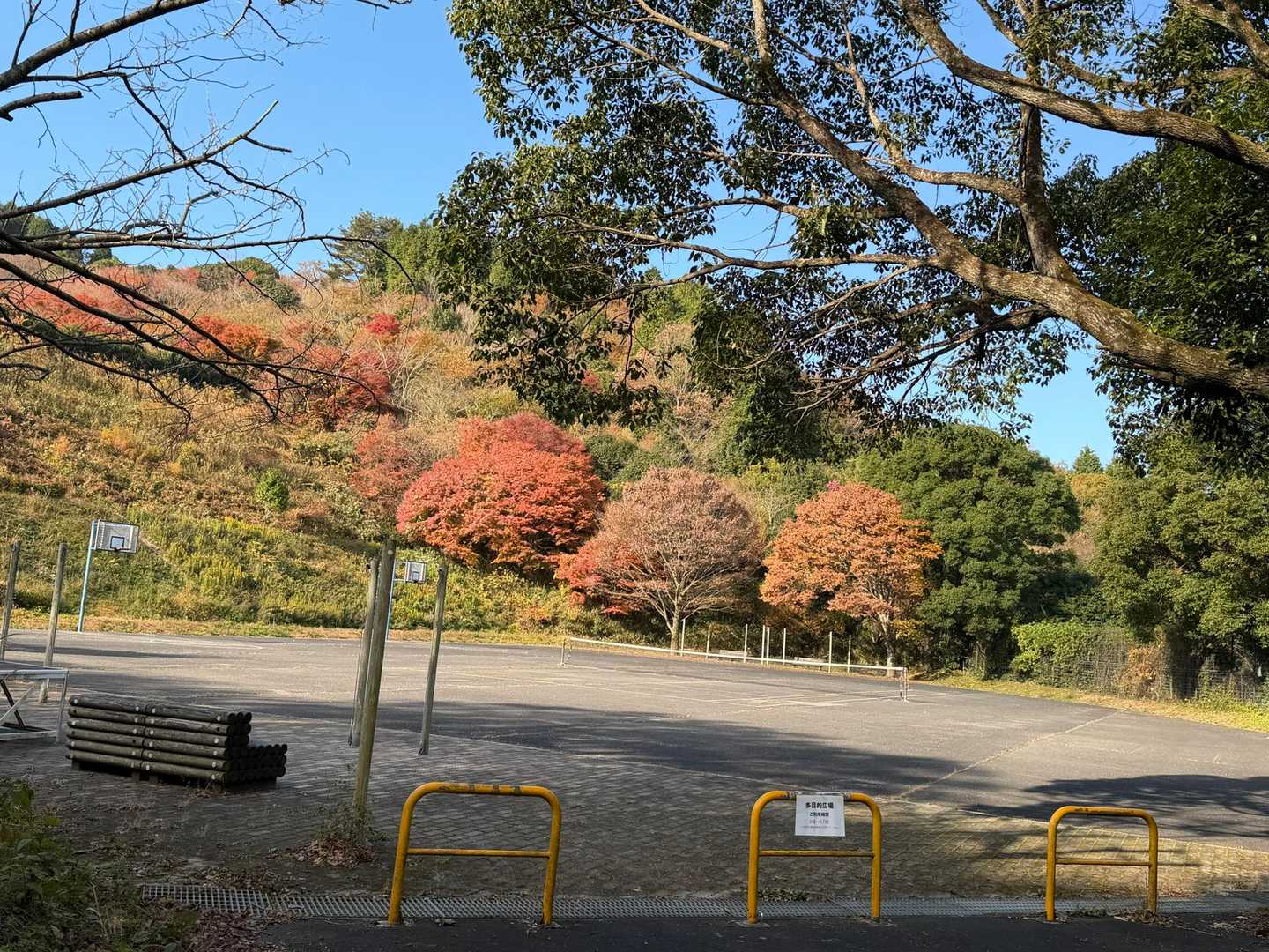 多目的広場