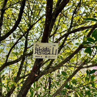 アップダウンを繰り返しながら地徳山を通過…🚶‍♂️