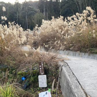 ここから再び日浦山へ