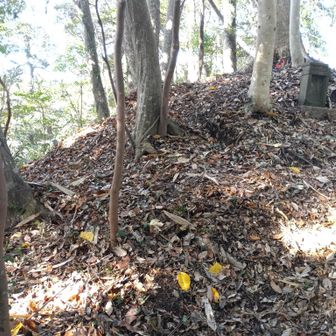 ぐるっとまわりを歩けます。