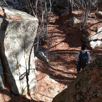 お、いよいよ核心部かな
