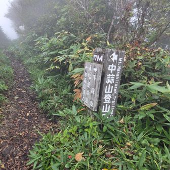 中蒜山から降りることもできます