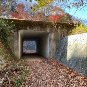 短いトンネルをくぐる