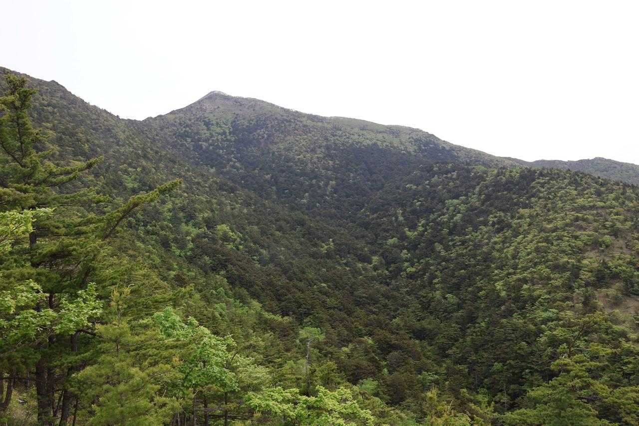 曇り空だけど山頂が見える