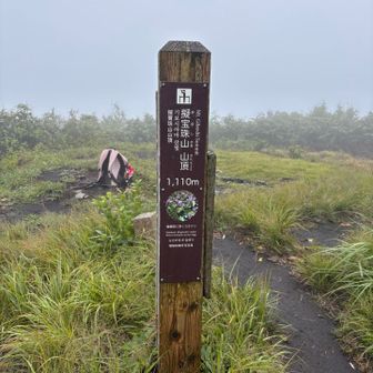 途中、雨☂️が…
傘さして、山頂！
着いたら止んだ！