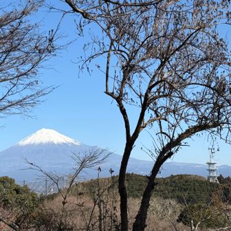 名残惜しいけど下山します