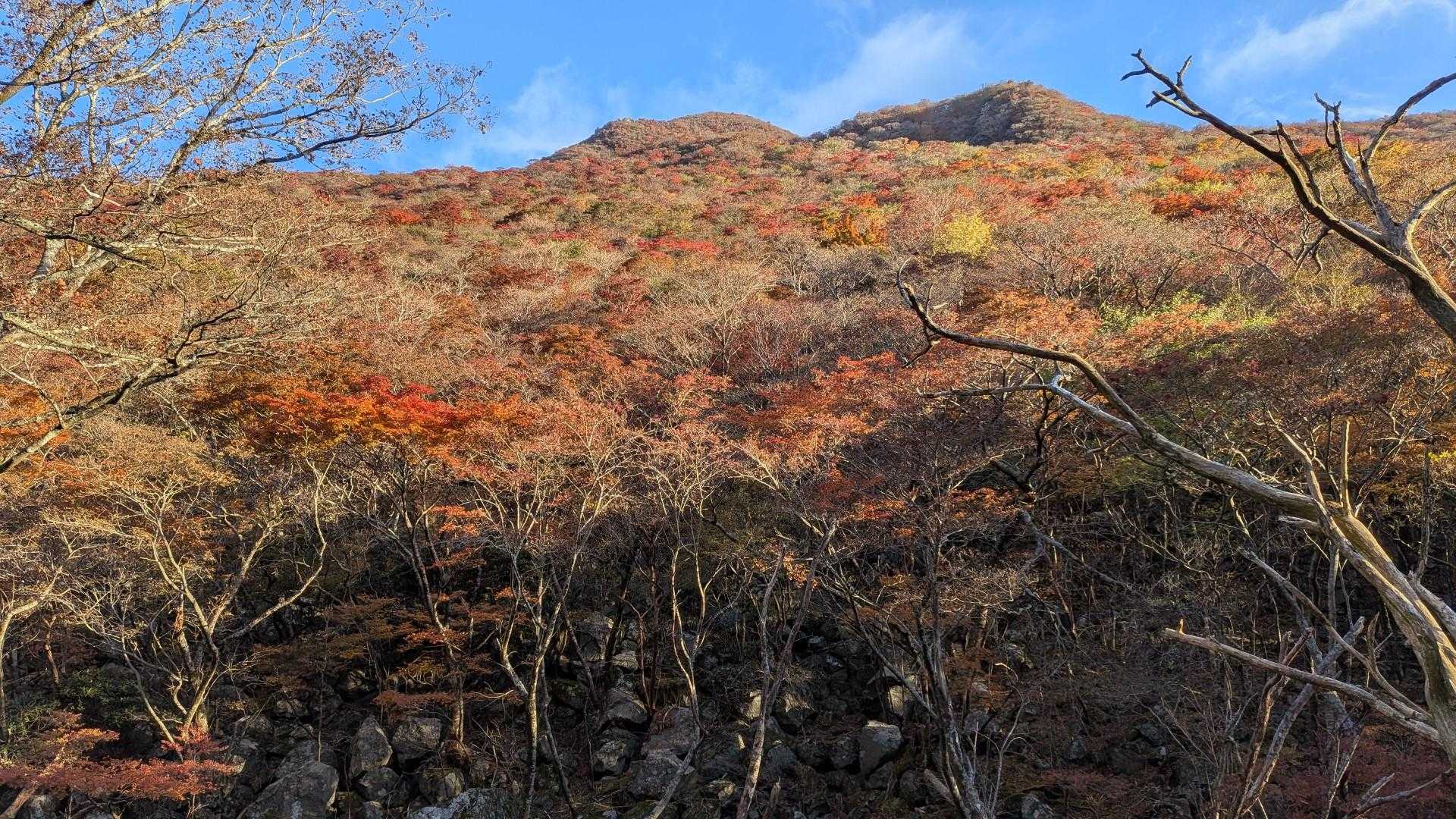 凄いなぁ‼️