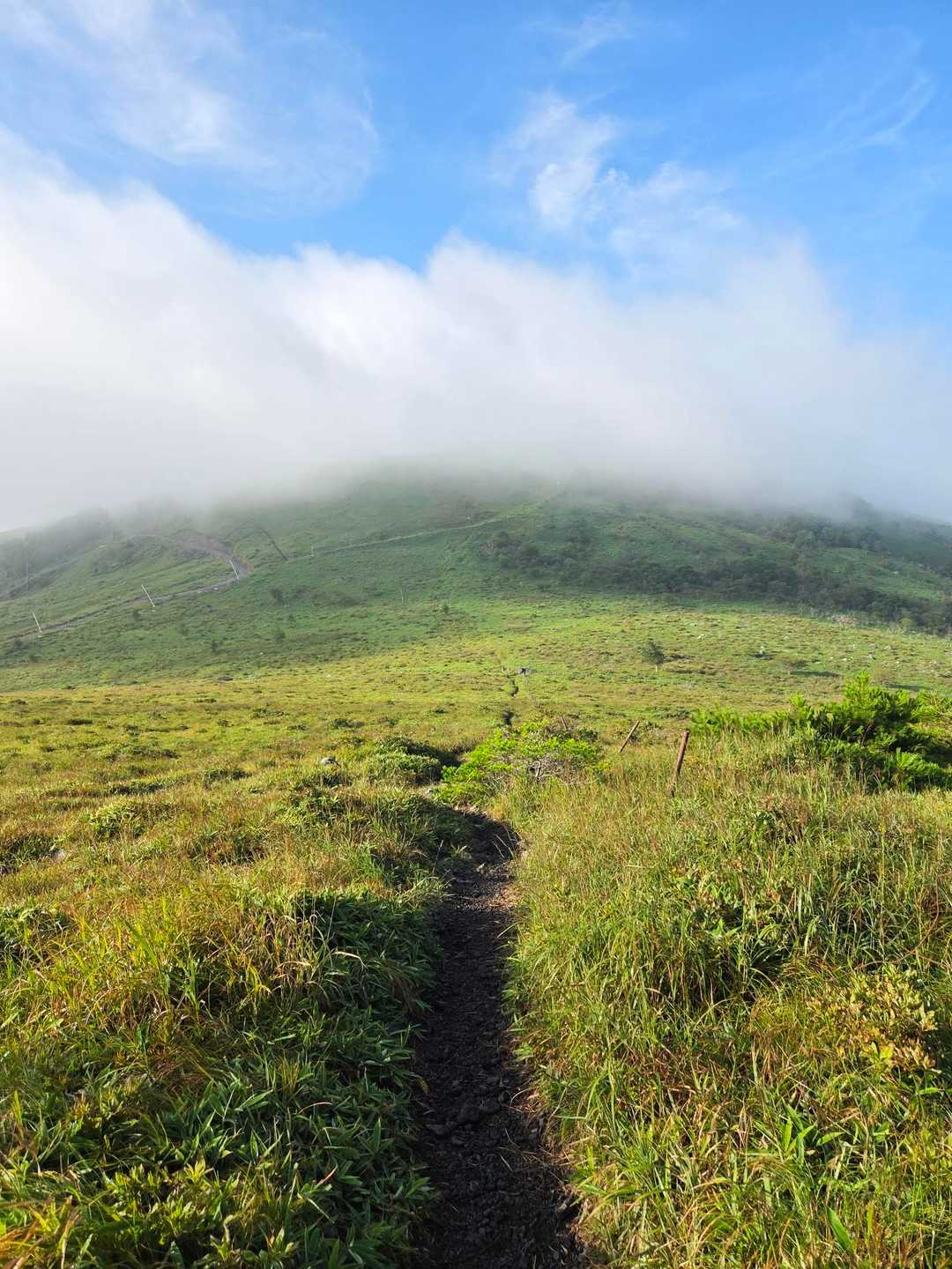 湿原が広がる先、ここを登って行くと蝶々深山