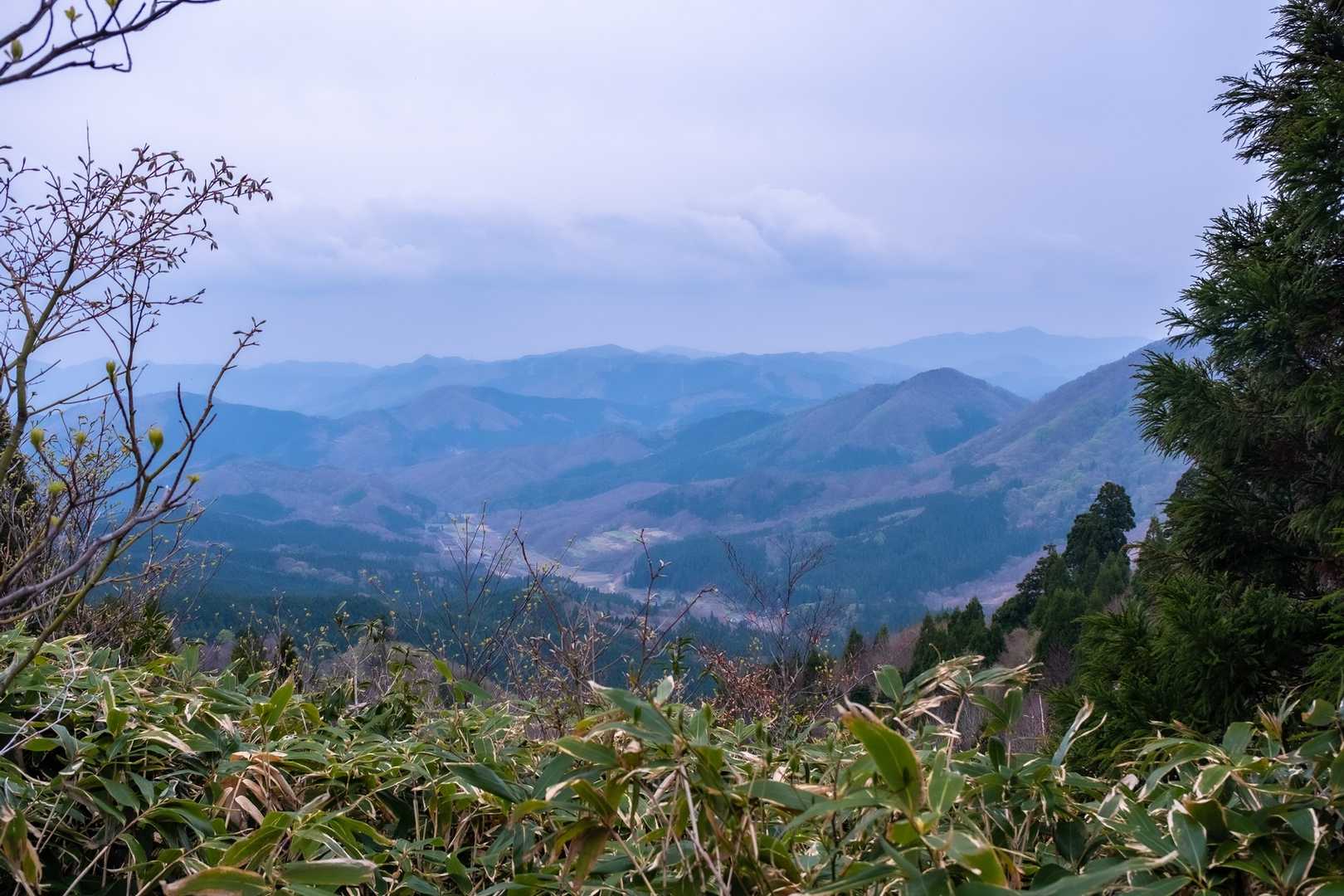 山頂からの景色