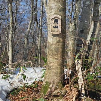 今日の最高峰 1,033m 扇山に到着🙌