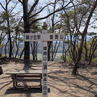 山頂はベンチがたくさん。