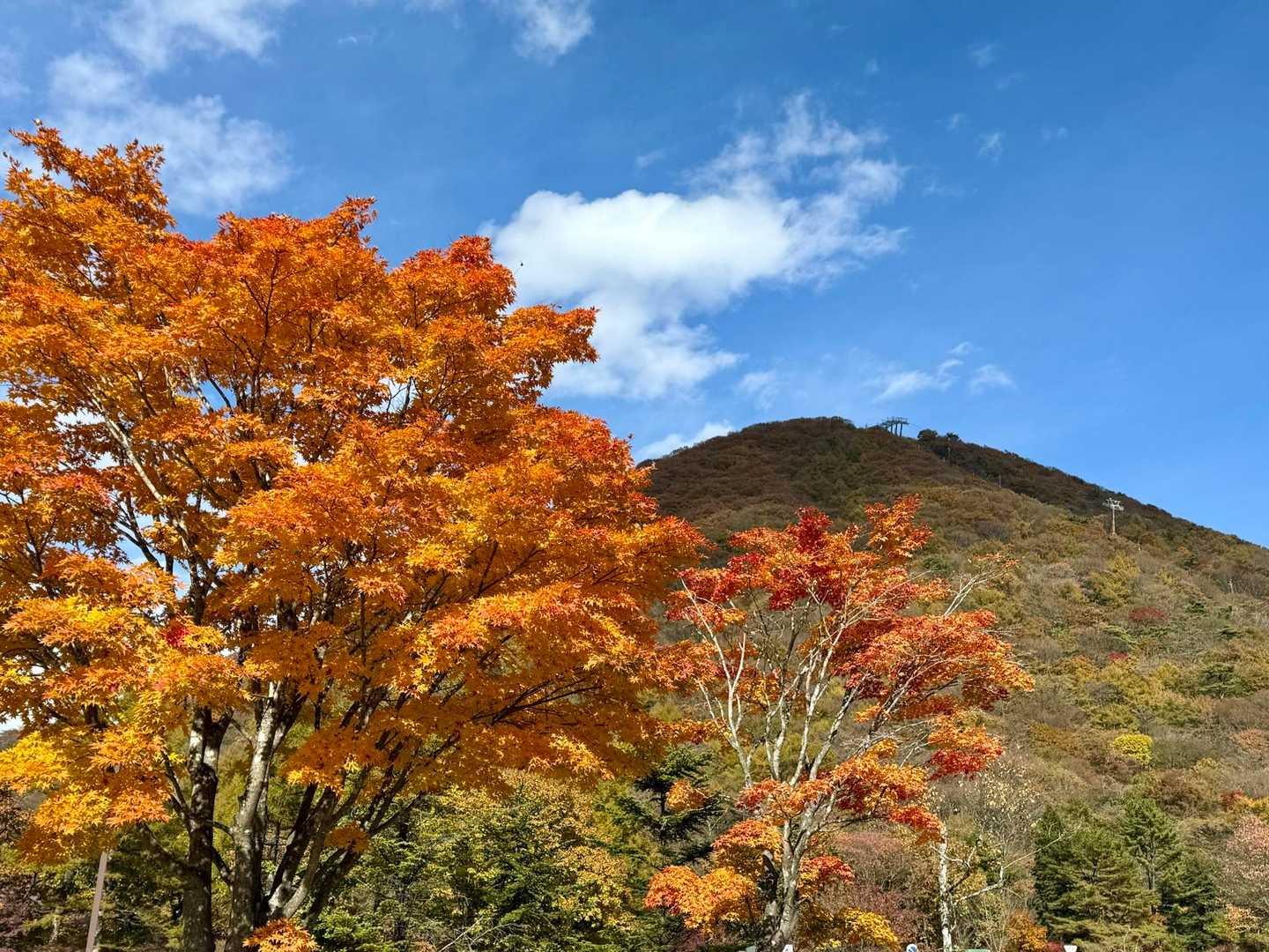 紅葉🍁と榛名富士