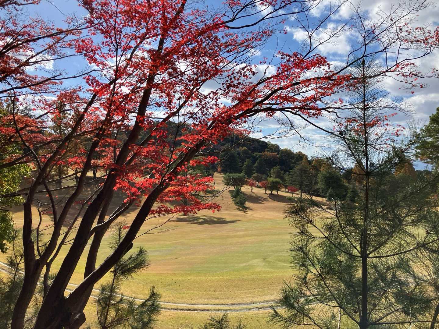 ゴルフ場の横の道を進みます！