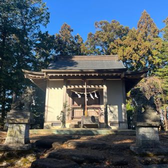 羽山到着。頂上は神社⛩️
眺望はゼロ