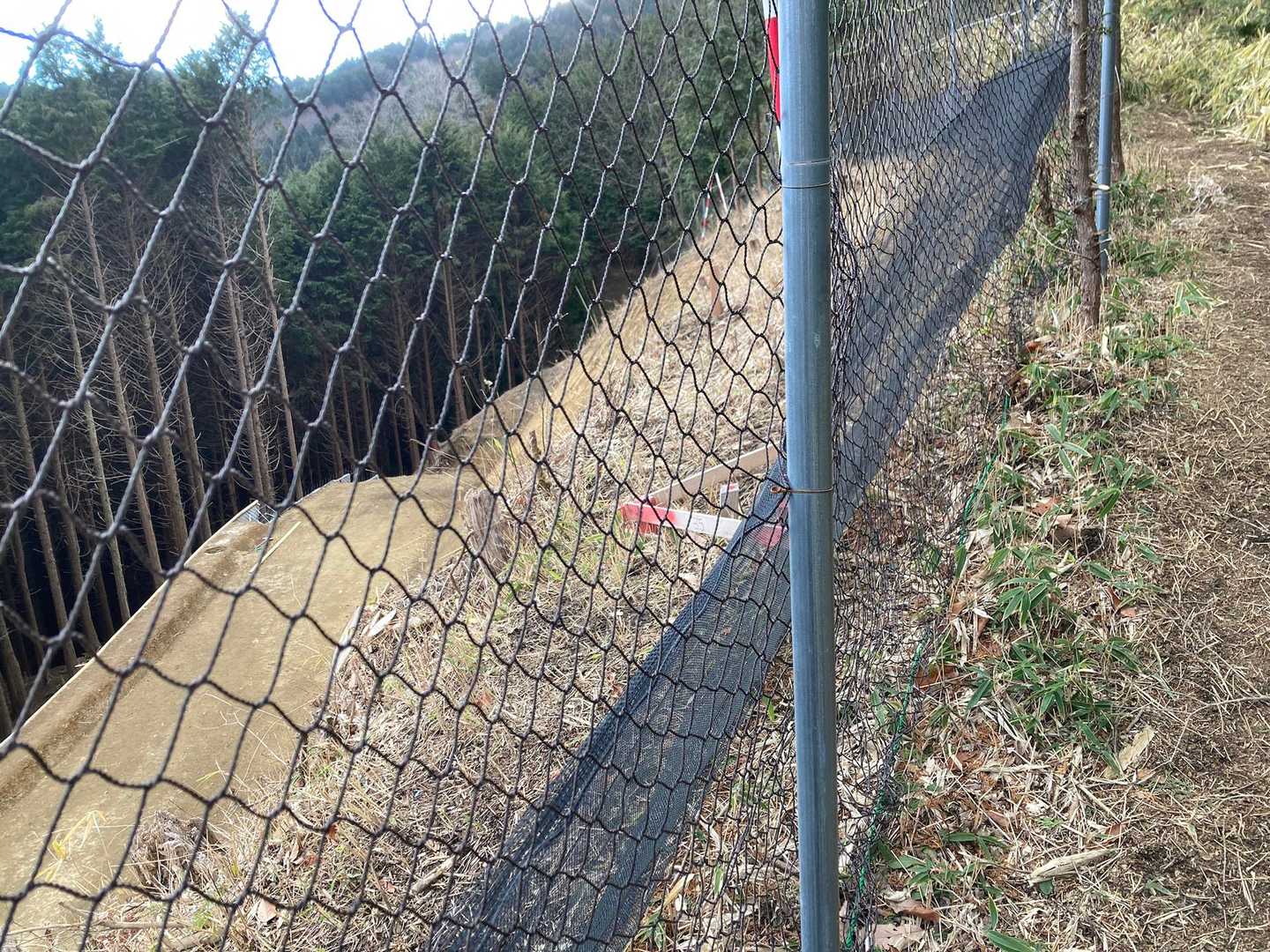 新しい階段登って、第1鹿ゲートを抜けた横から、更に延びるであろう林道が見えてました。