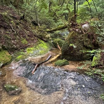 淀川小屋の水場💧
川から汲む。暗いときはドボンしないよう注意⚠️