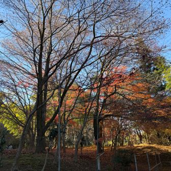 心源院をスタート