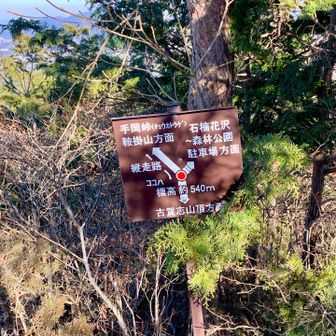 540P
古賀志山を目指します